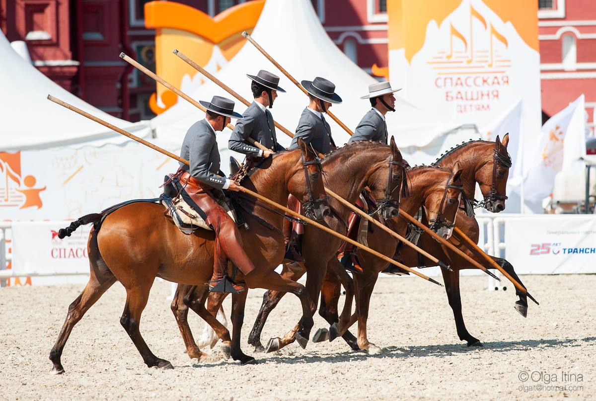 Olga Itina Equestrian Photography